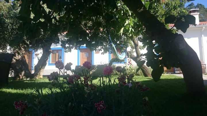 Quinta Da Idalina Villa Monchique Eksteriør billede
