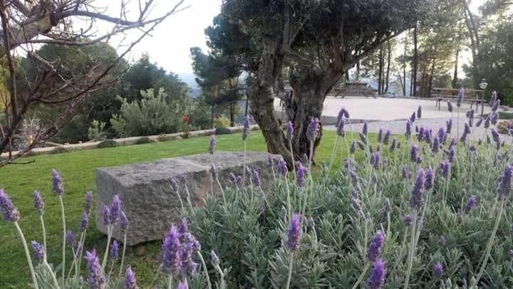 Quinta Da Idalina Villa Monchique Eksteriør billede