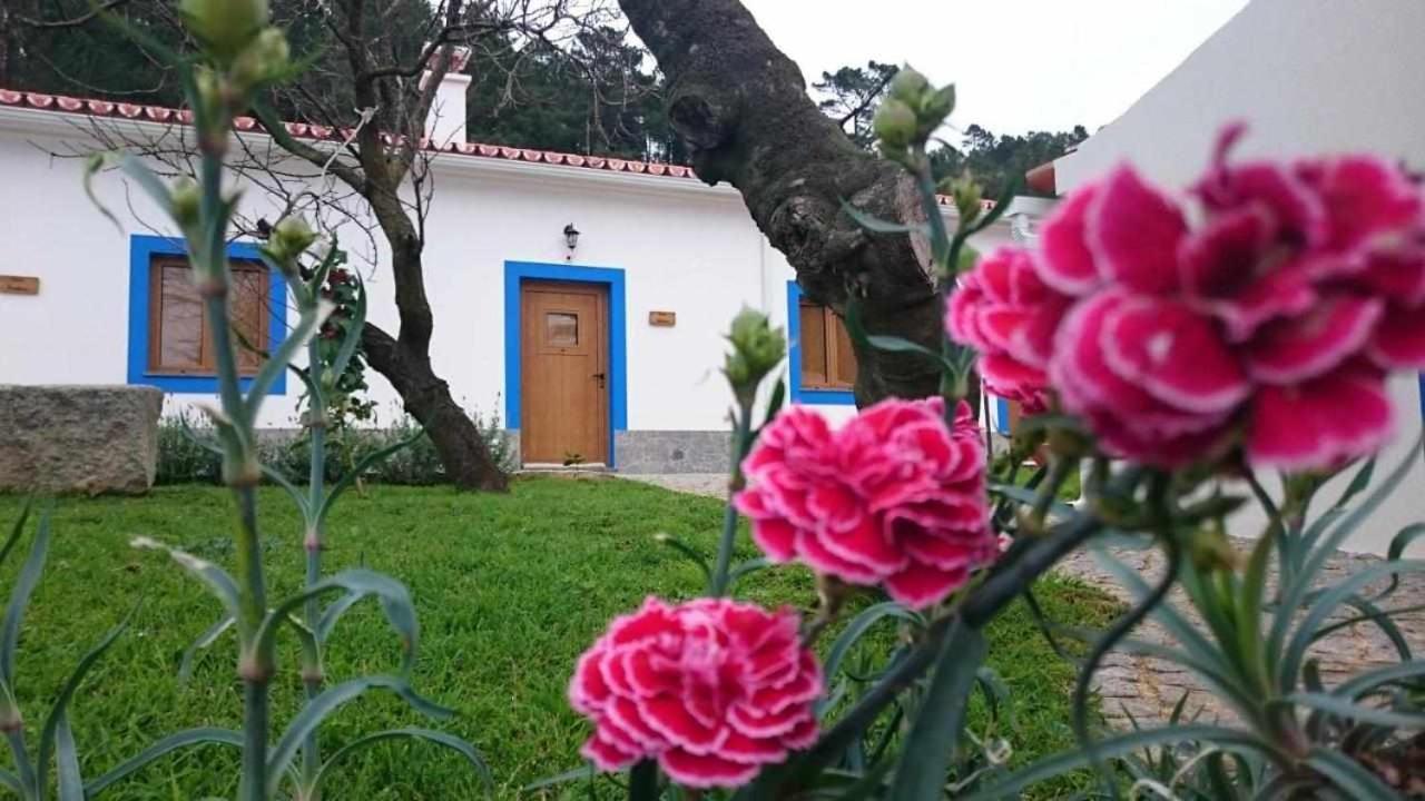 Quinta Da Idalina Villa Monchique Eksteriør billede