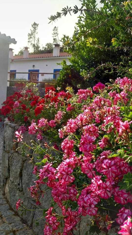 Quinta Da Idalina Villa Monchique Værelse billede