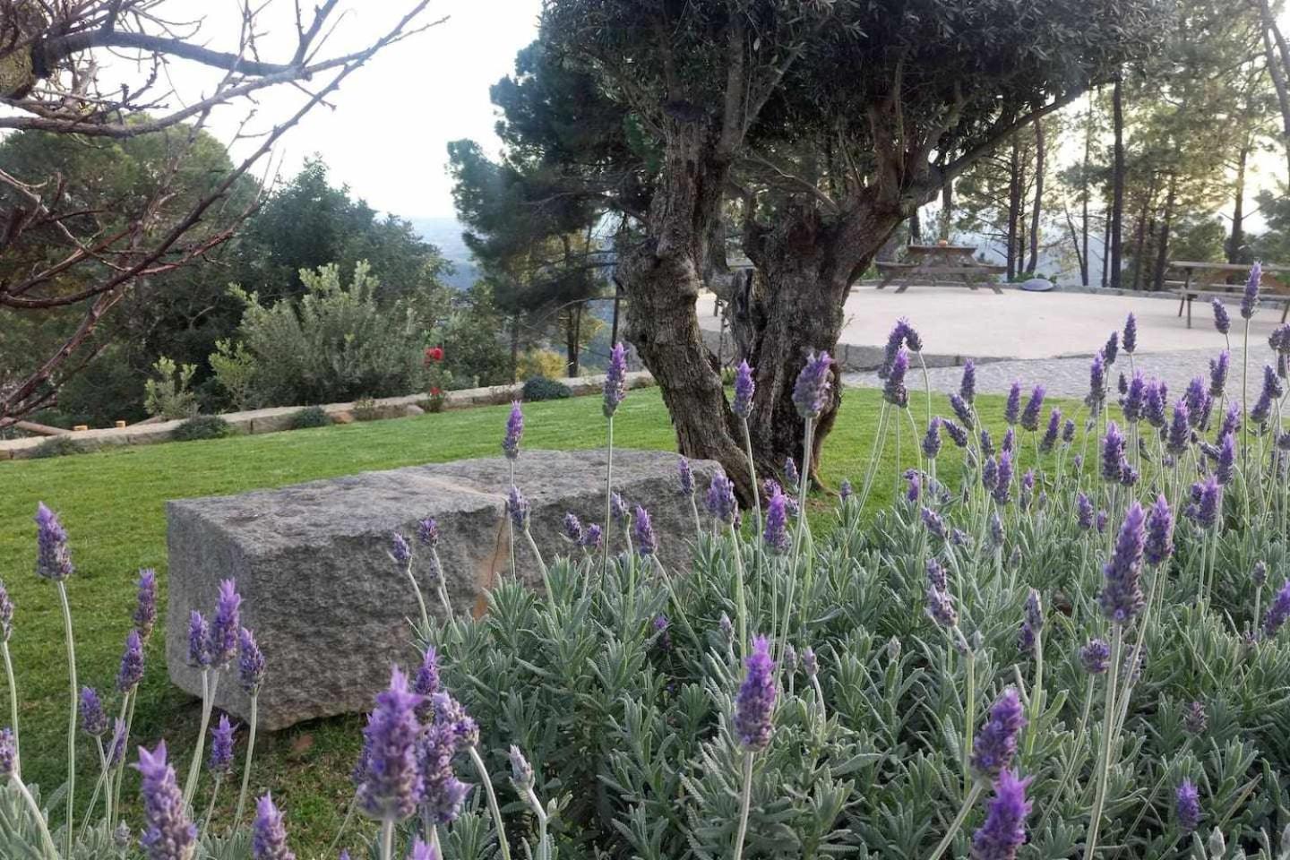 Quinta Da Idalina Villa Monchique Værelse billede